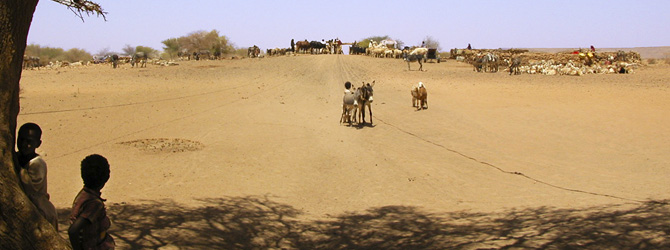 Viajes a Sudán con Viajes Ikertanoa. Historia moderna de Sudán. Toda la información para viajar a Sudán.