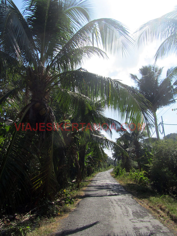 Carretera de la isla de Neil en las Islas Andamán, India.