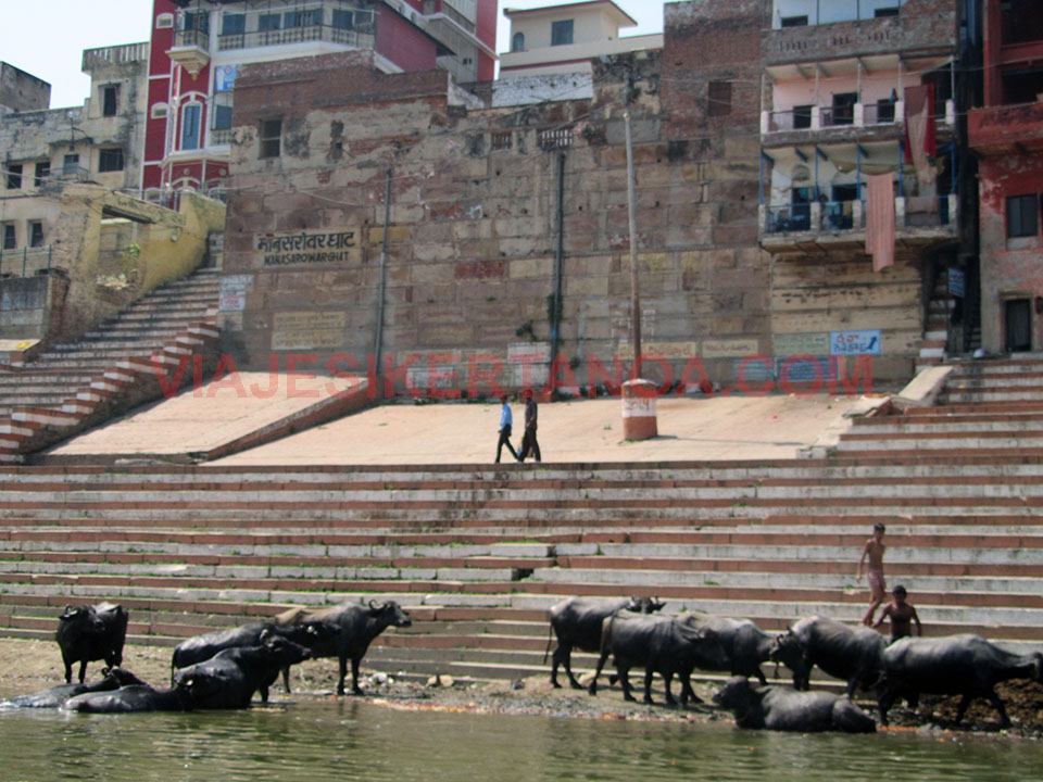 Paseo en bote por el río Ganges en Varanasi, India