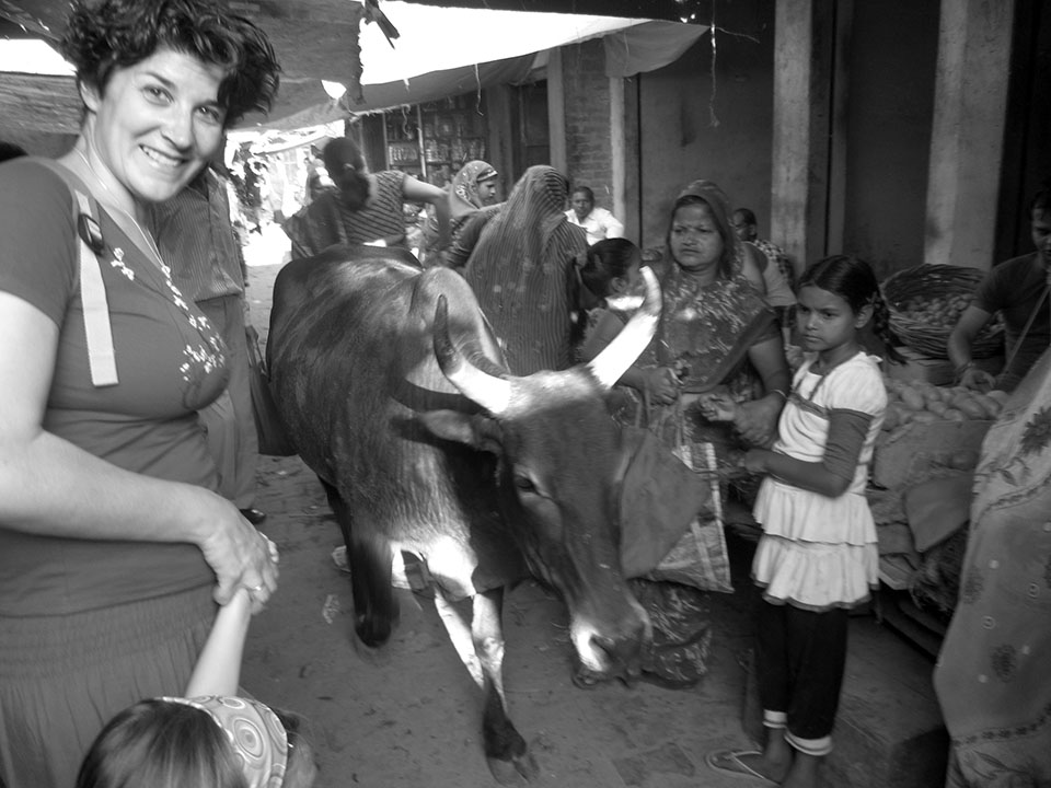 Vaca por en medio del mercado en Agra, India.