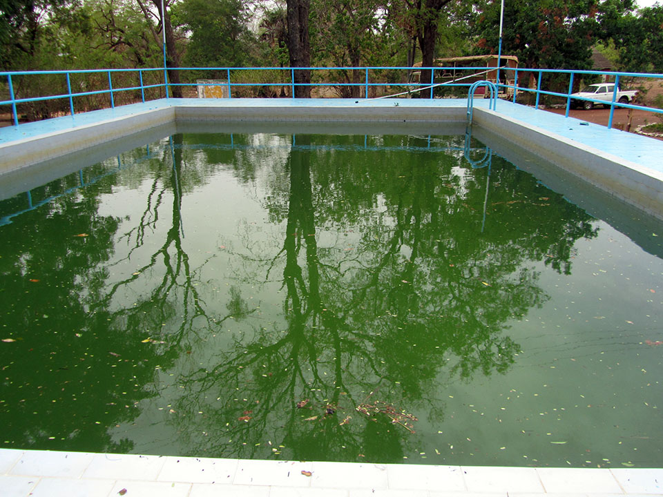 Verde piscina en el hotel Simenti del P.N. Niokolo Koba en Senegal